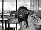 Nkiru Odilibe Pictures